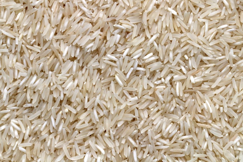 Paddy